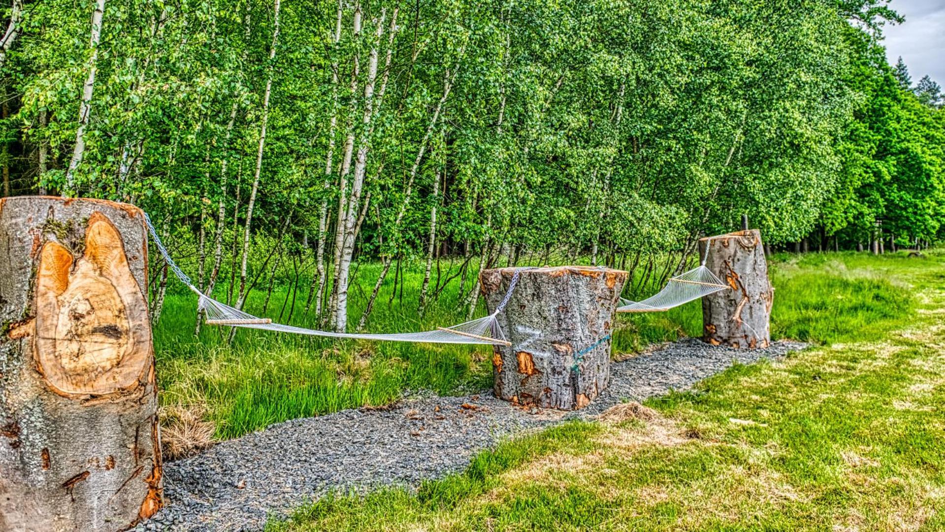 Izerska Baza - Basen, Ebike, Narty, Sauna, Jacuzzi, Las Blisko Swieradow Zdroj - 5D Apartamenty Giebultow  Bagian luar foto