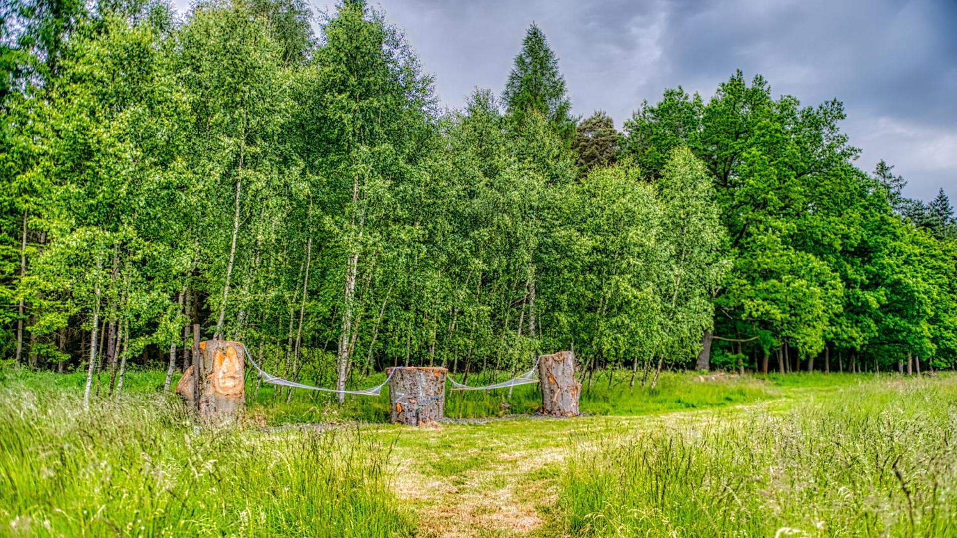 Izerska Baza - Basen, Ebike, Narty, Sauna, Jacuzzi, Las Blisko Swieradow Zdroj - 5D Apartamenty Giebultow  Bagian luar foto