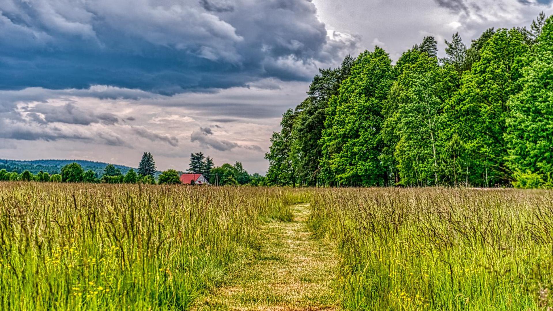 Izerska Baza - Basen, Ebike, Narty, Sauna, Jacuzzi, Las Blisko Swieradow Zdroj - 5D Apartamenty Giebultow  Bagian luar foto